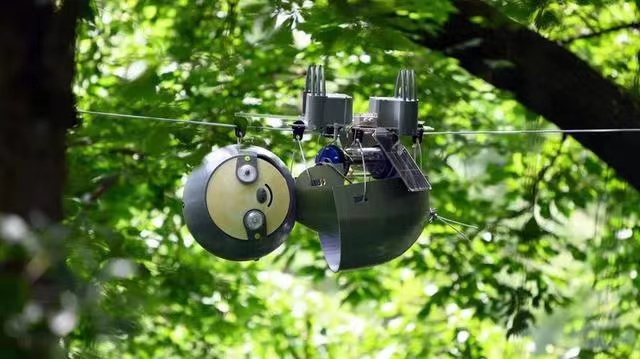 一起来看树懒机器人如何帮助拯救濒危的生态系统